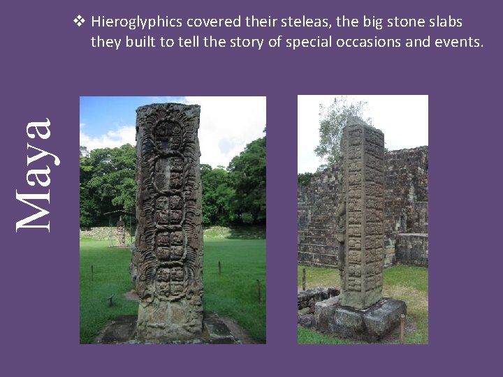 Maya v Hieroglyphics covered their steleas, the big stone slabs they built to tell