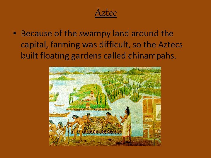 Aztec • Because of the swampy land around the capital, farming was difficult, so