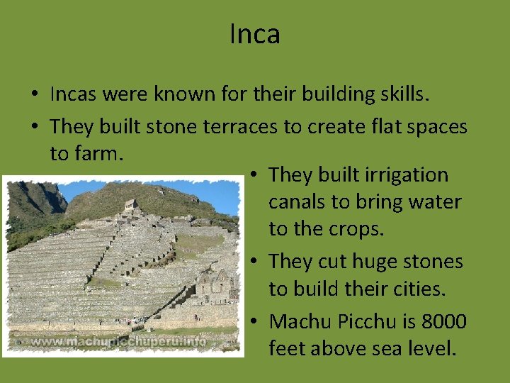 Inca • Incas were known for their building skills. • They built stone terraces