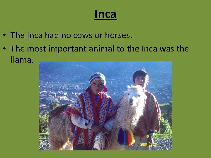 Inca • The Inca had no cows or horses. • The most important animal