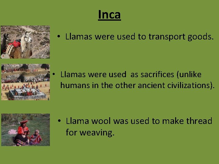 Inca • Llamas were used to transport goods. • Llamas were used as sacrifices