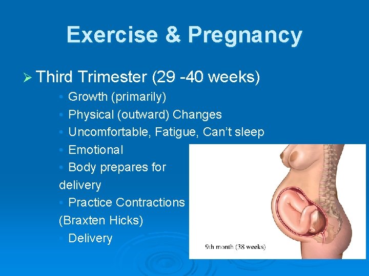 Exercise & Pregnancy Ø Third Trimester (29 -40 weeks) • Growth (primarily) • Physical