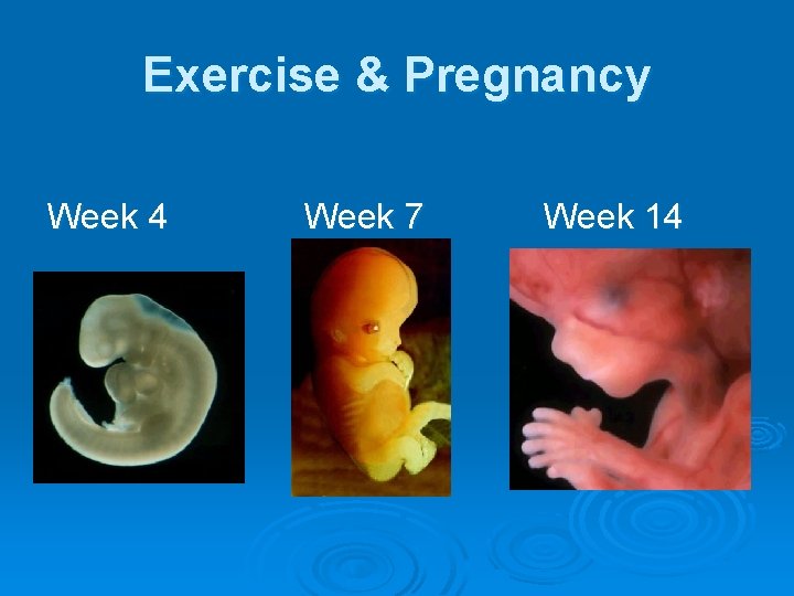 Exercise & Pregnancy Week 4 Week 7 Week 14 