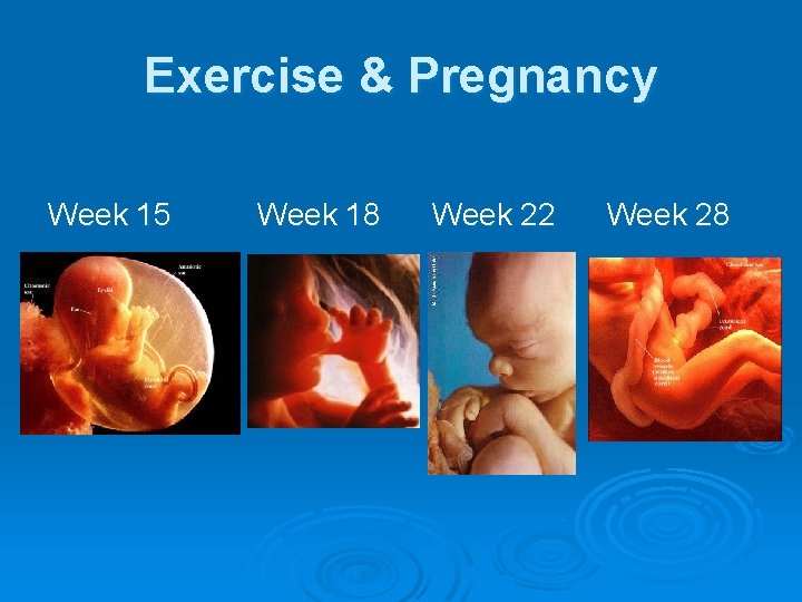 Exercise & Pregnancy Week 15 Week 18 Week 22 Week 28 