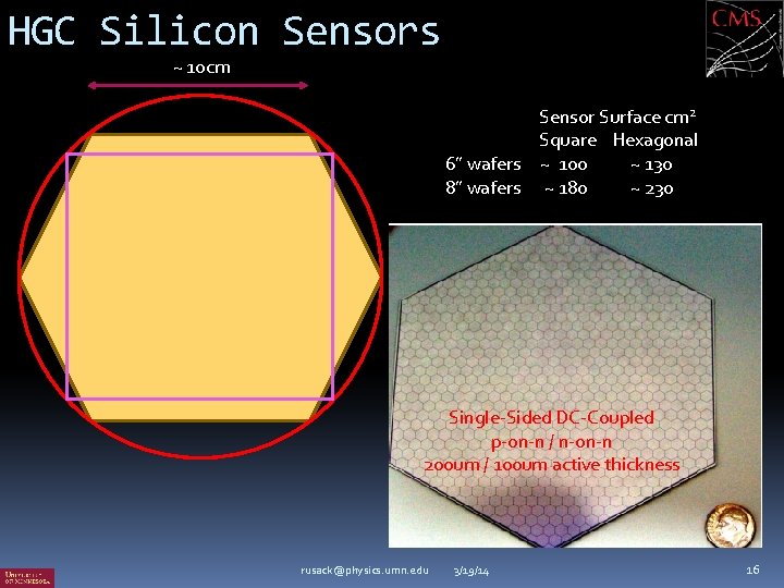 HGC Silicon Sensors ~ 10 cm Sensor Surface cm 2 Square Hexagonal 6” wafers