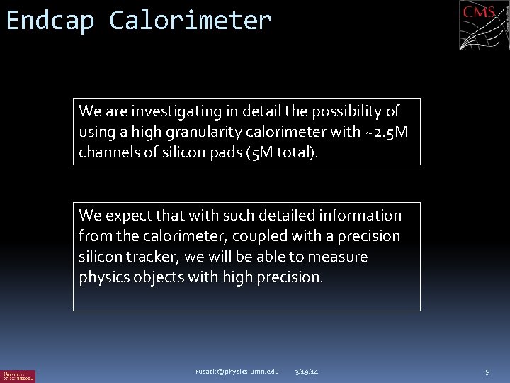 Endcap Calorimeter We are investigating in detail the possibility of using a high granularity