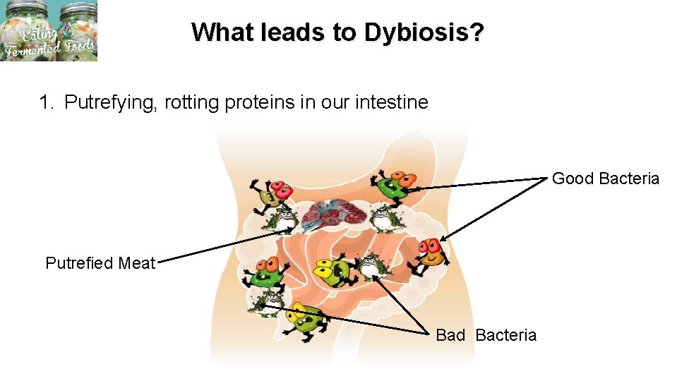 What leads to Dybiosis? 1. Putrefying, rotting proteins in our intestine Good Bacteria Putrefied