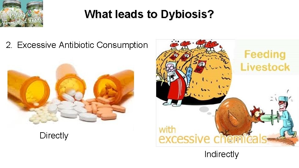 What leads to Dybiosis? 2. Excessive Antibiotic Consumption Directly Indirectly 