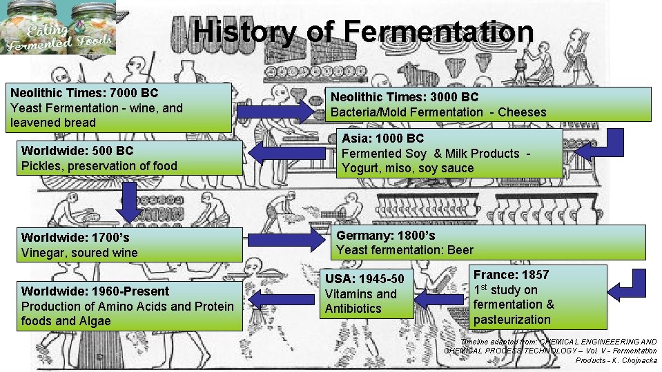 History of Fermentation Neolithic Times: 7000 BC Yeast Fermentation - wine, and leavened bread
