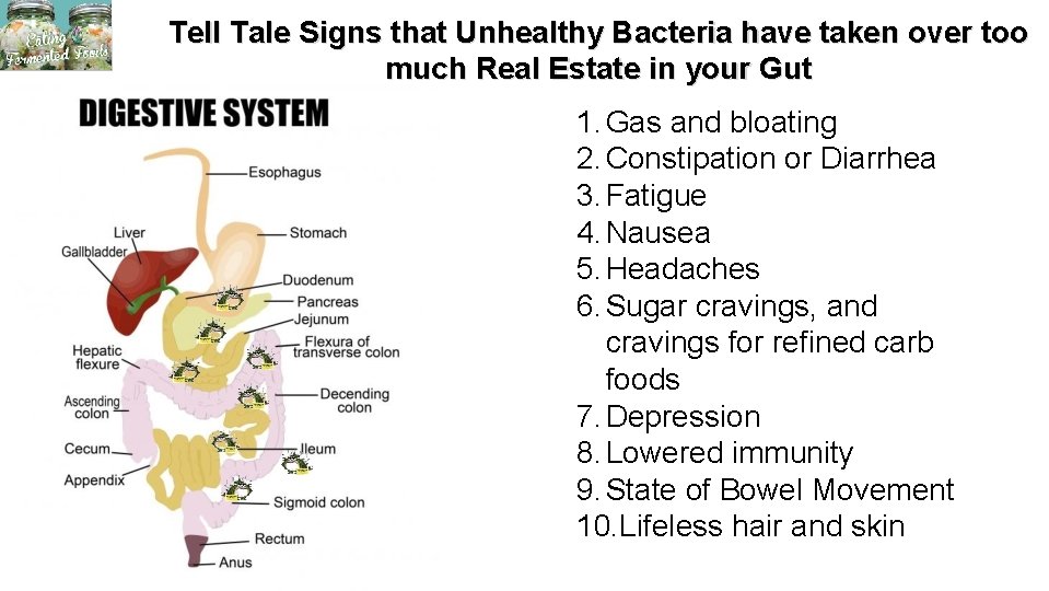 Tell Tale Signs that Unhealthy Bacteria have taken over too much Real Estate in