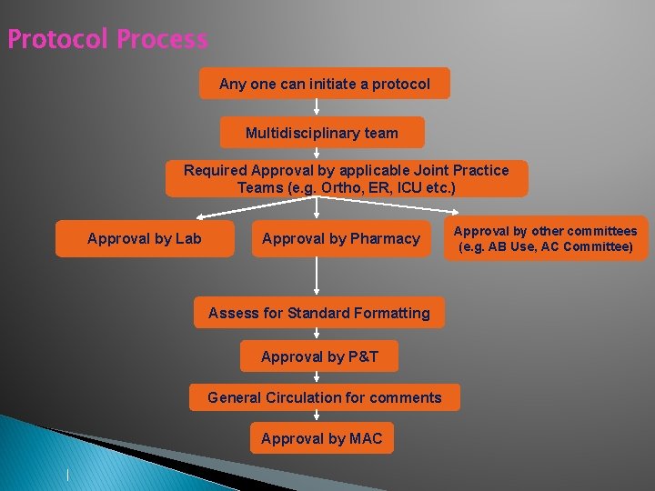 Protocol Process Any one can initiate a protocol Multidisciplinary team Required Approval by applicable Protocol Process Any one can initiate a protocol Multidisciplinary team Required Approval by applicable