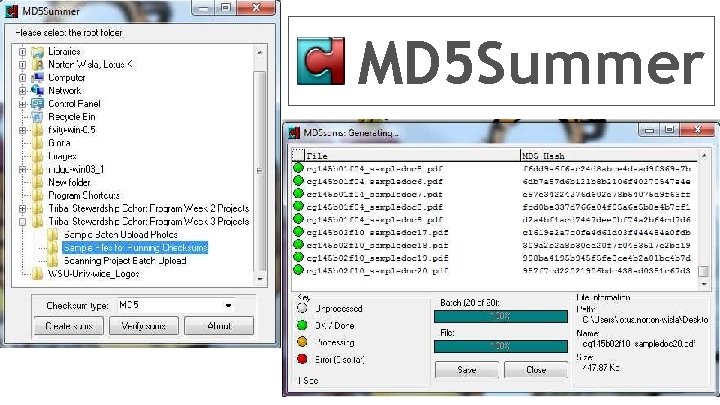 MD 5 Summer 