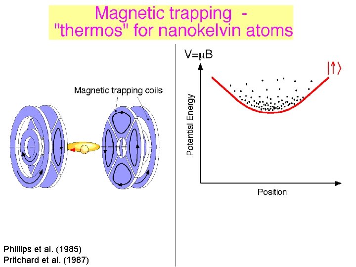 Phillips et al. (1985) Pritchard et al. (1987) 