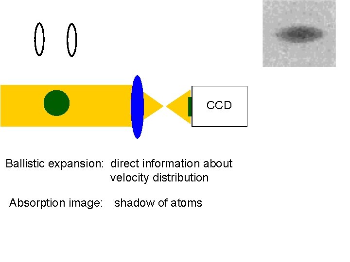 CCD Ballistic expansion: direct information about velocity distribution Absorption image: shadow of atoms 