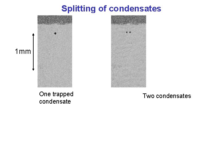 Splitting of condensates 1 mm One trapped 15 ms condensate Expansion Two condensates 