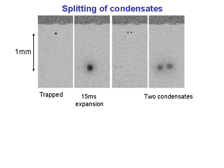 Splitting of condensates 1 mm Trapped 15 ms expansion Two condensates 