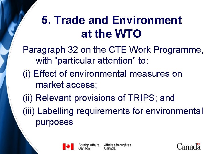 5. Trade and Environment at the WTO Paragraph 32 on the CTE Work Programme, 5. Trade and Environment at the WTO Paragraph 32 on the CTE Work Programme,