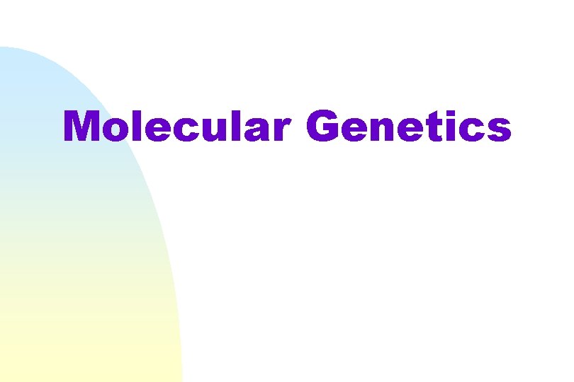 Molecular Genetics 