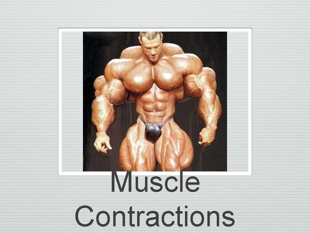 Muscle Contractions 