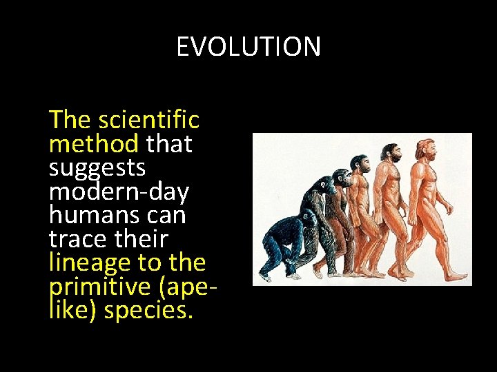 EVOLUTION The scientific method that suggests modern-day humans can trace their lineage to the