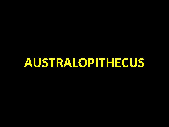 AUSTRALOPITHECUS 