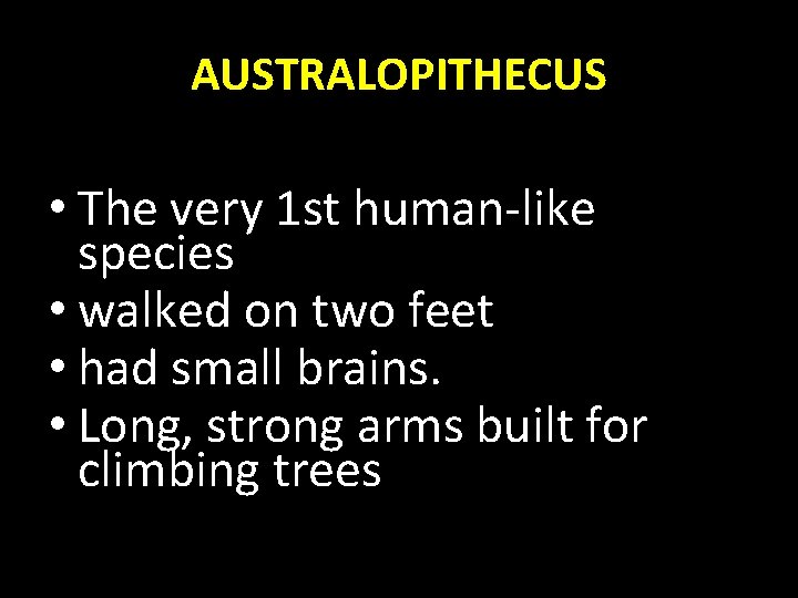 AUSTRALOPITHECUS • The very 1 st human-like species • walked on two feet •