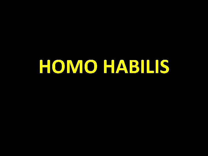 HOMO HABILIS 