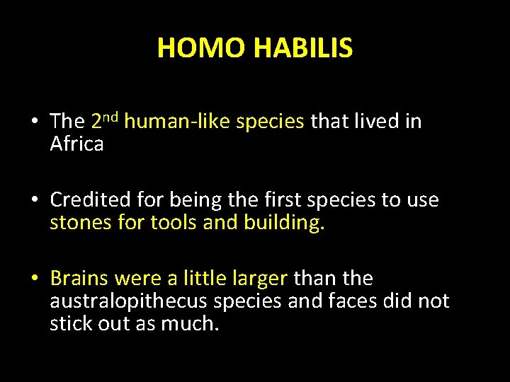 HOMO HABILIS • The 2 nd human-like species that lived in Africa • Credited HOMO HABILIS • The 2 nd human-like species that lived in Africa • Credited