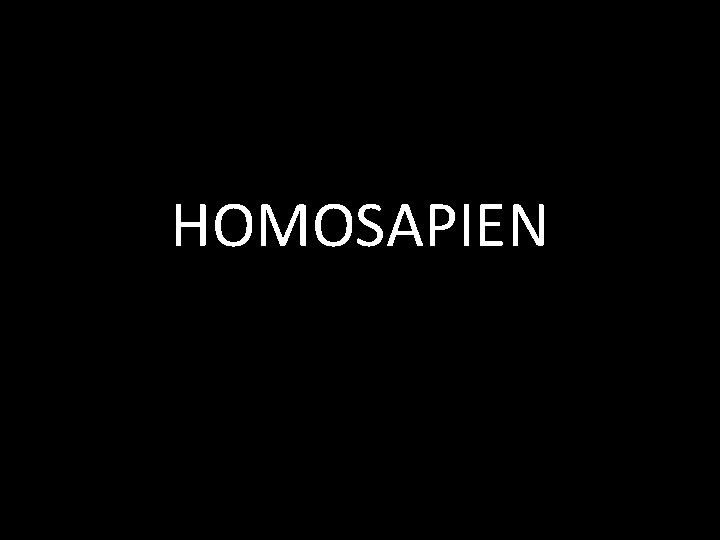 HOMOSAPIEN 