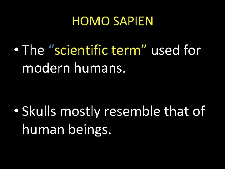 HOMO SAPIEN • The “scientific term” used for modern humans. • Skulls mostly resemble