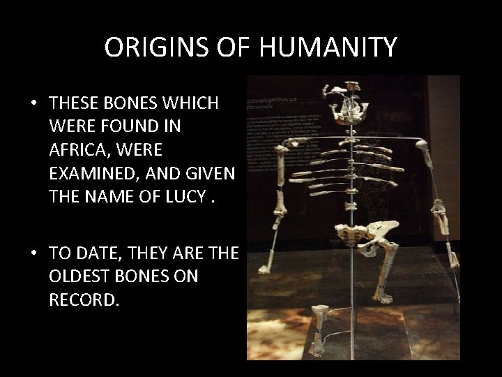 ORIGINS OF HUMANITY • THESE BONES WHICH WERE FOUND IN AFRICA, WERE EXAMINED, AND ORIGINS OF HUMANITY • THESE BONES WHICH WERE FOUND IN AFRICA, WERE EXAMINED, AND