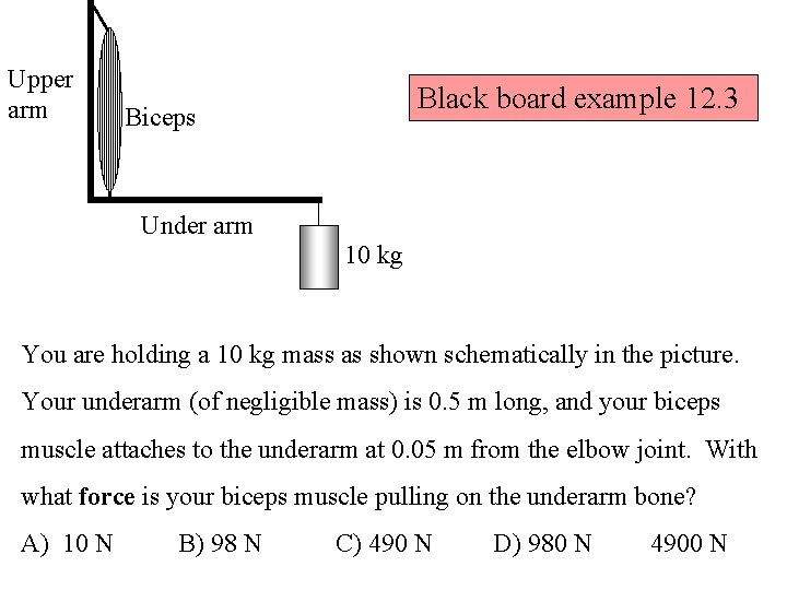 Upper arm Black board example 12. 3 Biceps Under arm 10 kg You are