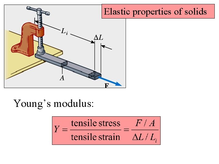 Elastic properties of solids Young’s modulus: 