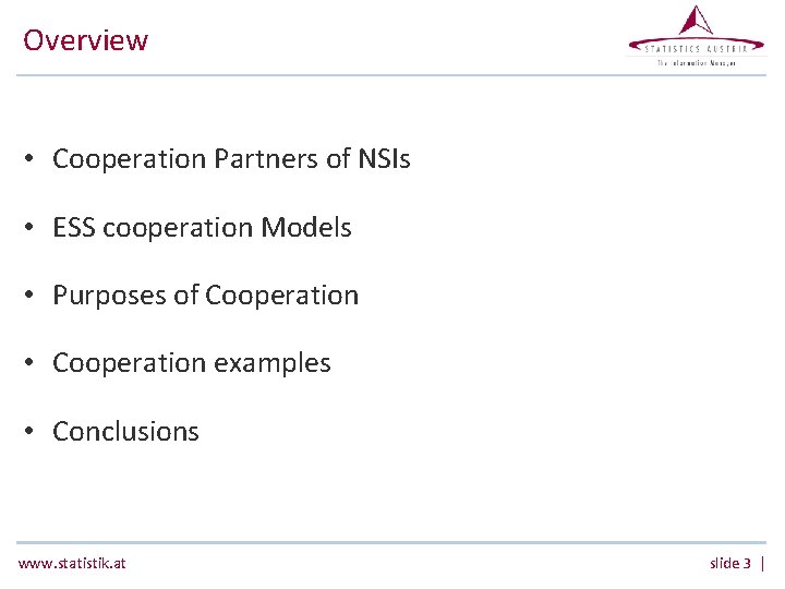 Overview • Cooperation Partners of NSIs • ESS cooperation Models • Purposes of Cooperation