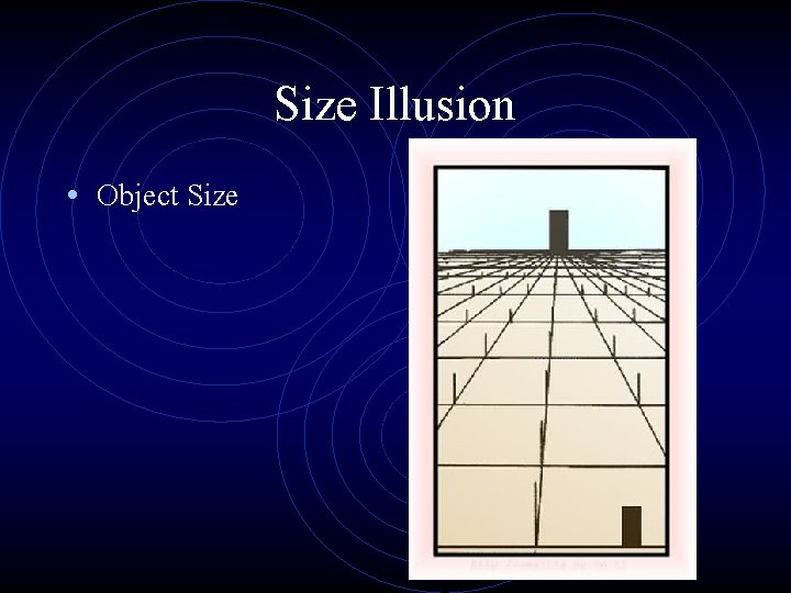 Size Illusion • Object Size 