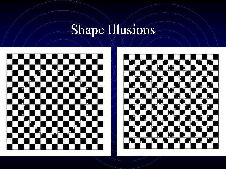 Shape Illusions 