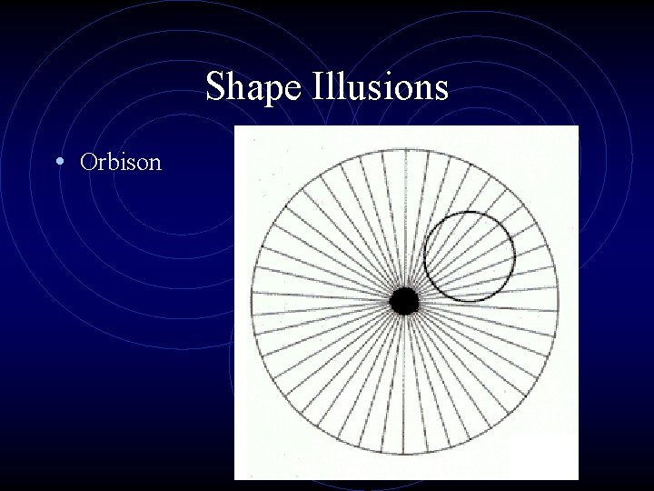 Shape Illusions • Orbison 