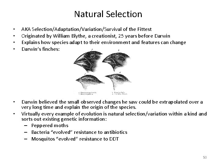 Natural Selection • • AKA Selection/Adaptation/Variation/Survival of the Fittest Originated by William Blythe, a