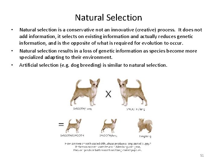 Natural Selection • • • Natural selection is a conservative not an innovative (creative)