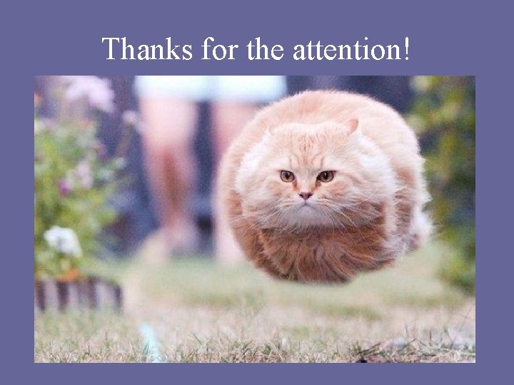 Thanks for the attention! Thanks for the attention!