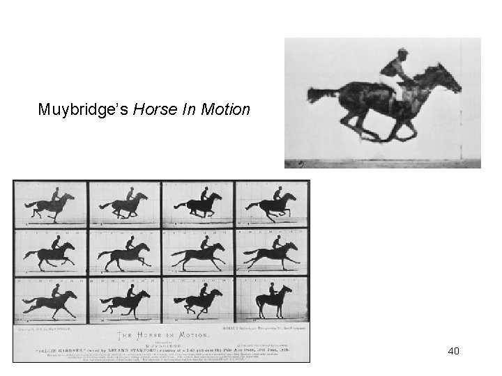 Muybridge’s Horse In Motion 40 