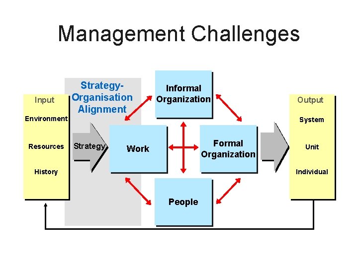 Management Challenges Input Strategy. Organisation Alignment Informal Organization Environment Resources Output System Strategy Formal