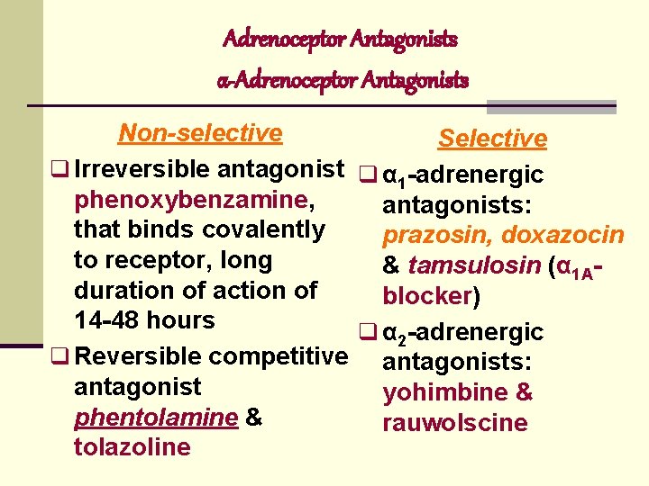 Adrenoceptor Antagonists α-Adrenoceptor Antagonists Non-selective Selective q Irreversible antagonist q α adrenergic 1 phenoxybenzamine,