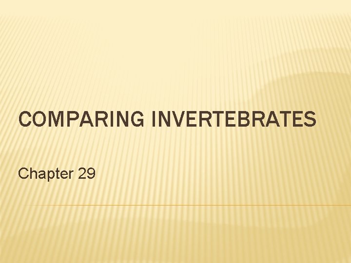 COMPARING INVERTEBRATES Chapter 29 