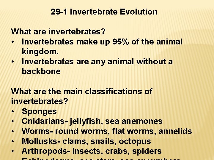 29 -1 Invertebrate Evolution What are invertebrates? • Invertebrates make up 95% of the