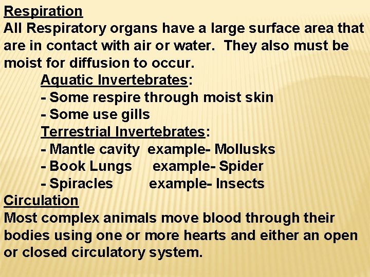 Respiration All Respiratory organs have a large surface area that are in contact with