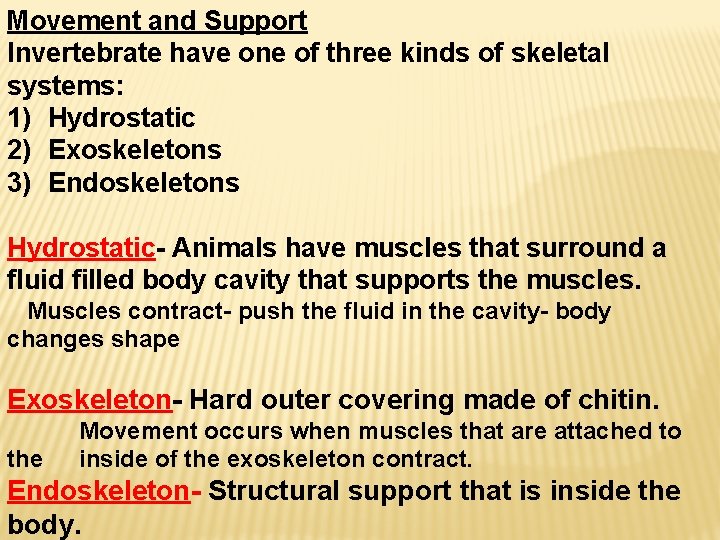 Movement and Support Invertebrate have one of three kinds of skeletal systems: 1) Hydrostatic