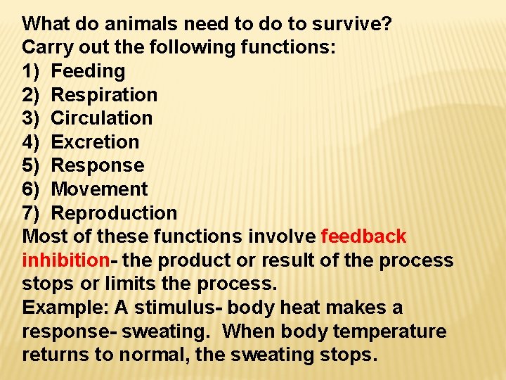 What do animals need to do to survive? Carry out the following functions: 1)