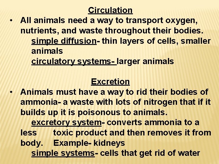 Circulation • All animals need a way to transport oxygen, nutrients, and waste throughout