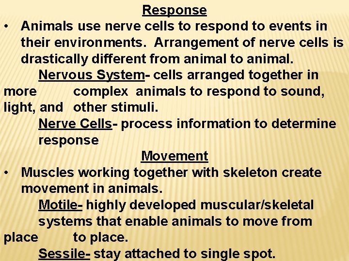 Response • Animals use nerve cells to respond to events in their environments. Arrangement